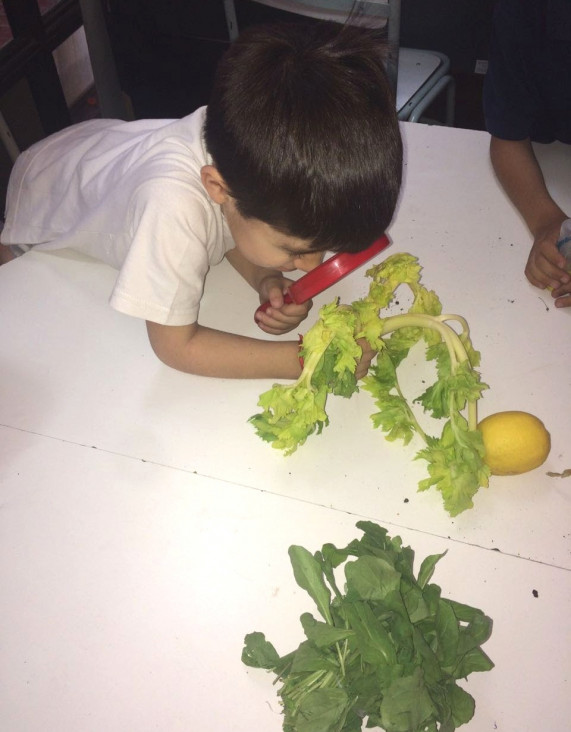 imagen Alumnos de primer grado experimentaron en Ciencias Naturales 